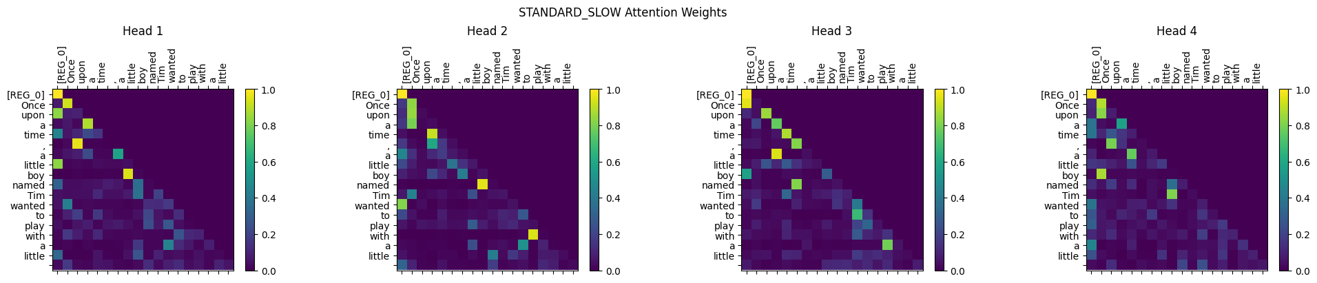 Standard Attention Map